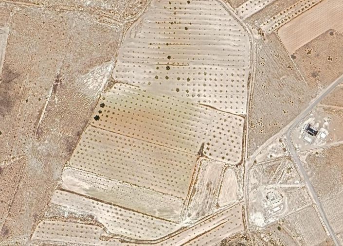 Image No.2-Terre à vendre à Canada Del Trigo