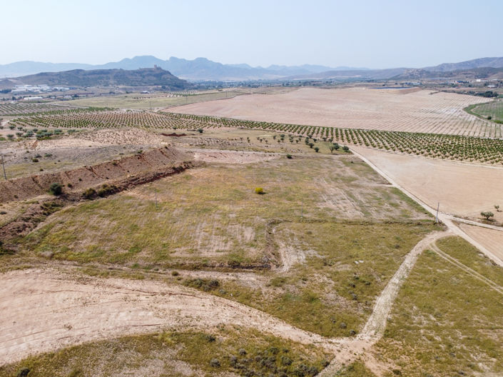 Image No.2-Terre à vendre à Jumilla