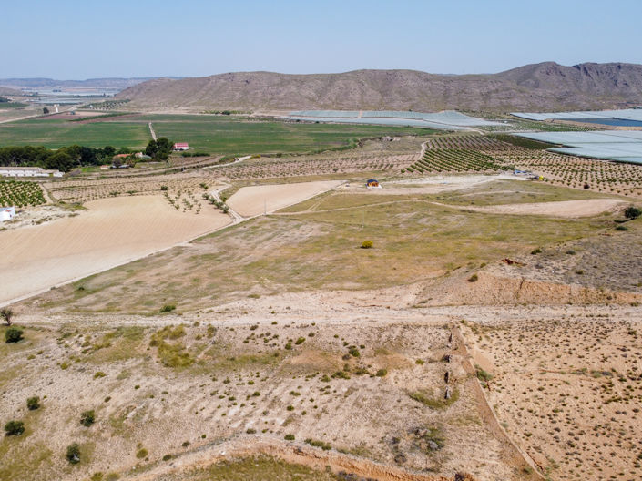 Image No.4-Terre à vendre à Jumilla