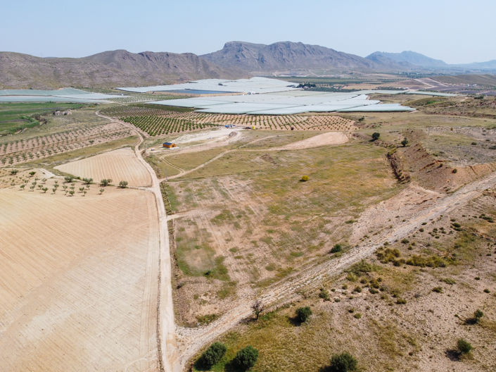 Image No.5-Terre à vendre à Jumilla