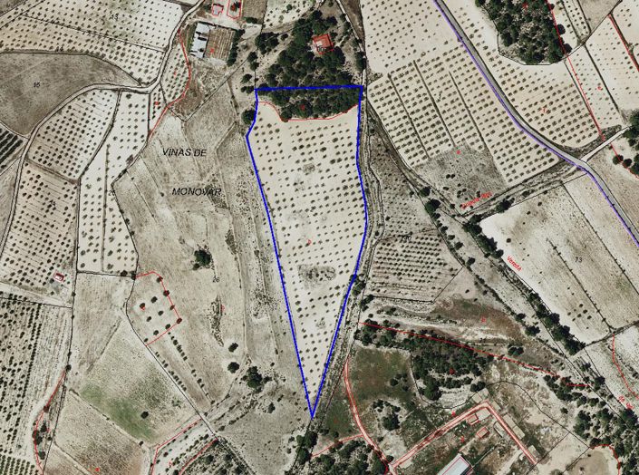 Image No.3-Land for sale