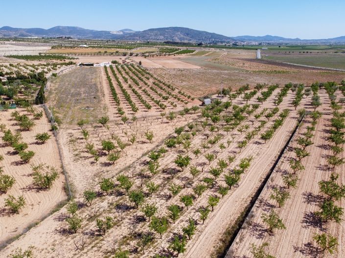 Image No.2-Land for sale