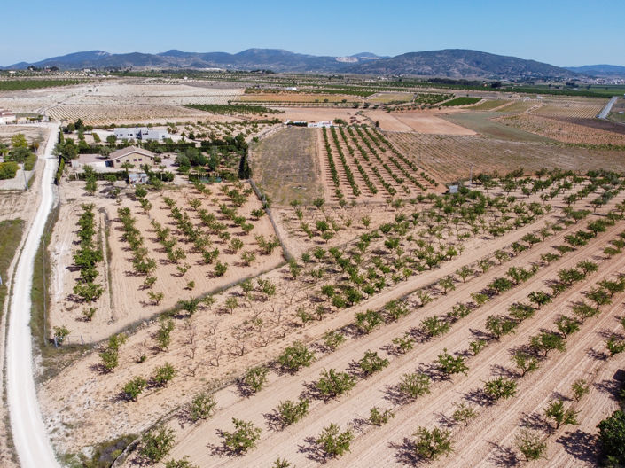 Image No.5-Land for sale