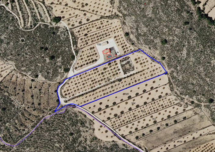 Image No.2-Terre à vendre à Pinoso