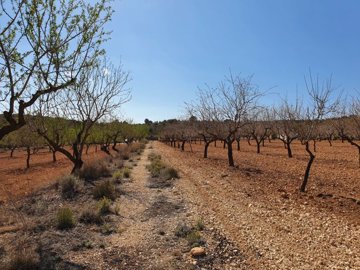 3302parcelaestrechos2203231522069fa9e6399ec04