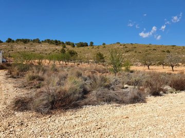 3302parcelaestrechos220323152207a782493a29ba4