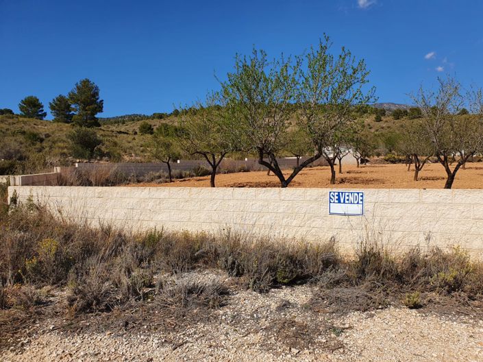 Image No.5-Terre à vendre à Pinoso