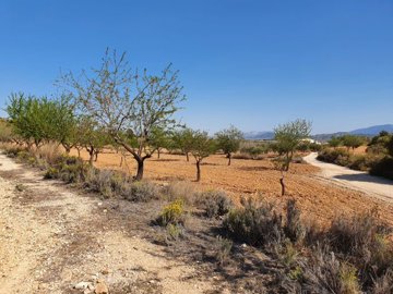 3302parcelaestrechos220323152207f5804a0cc82a4