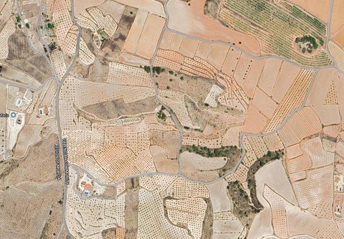 Image No.3-Terre à vendre à Pinoso