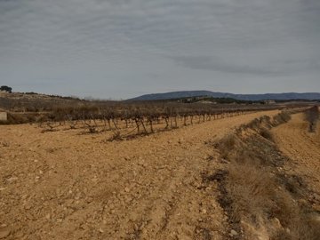 3292buildingplotclosetopinoso21022312104862c8