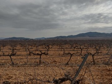 3292buildingplotclosetopinoso2102231210471048