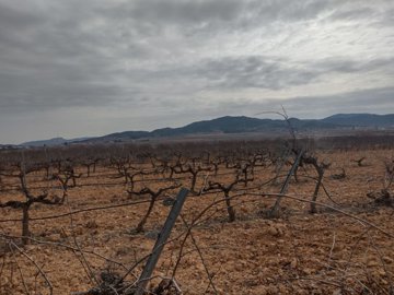 3292buildingplotclosetopinoso2102231210485448