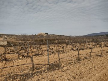 3292buildingplotclosetopinoso210223121048e196