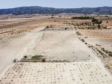 3702buildingplotnearpinoso270225153044cf3142d