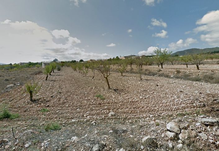 Image No.2-Terre à vendre à Raspay