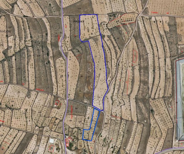 Image No.3-Terre à vendre à Raspay