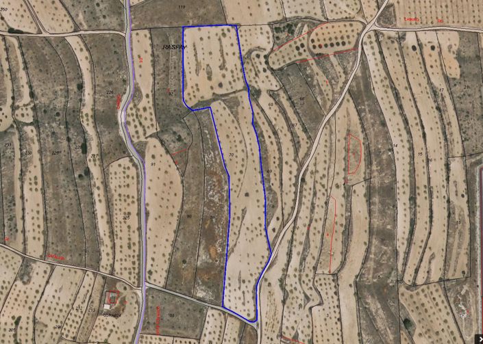 Image No.4-Terre à vendre à Raspay