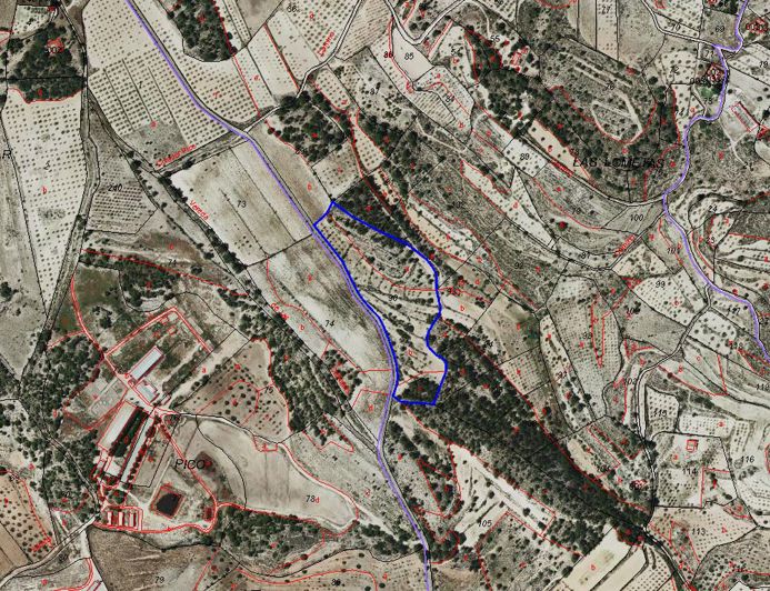 Image No.2-Land for sale