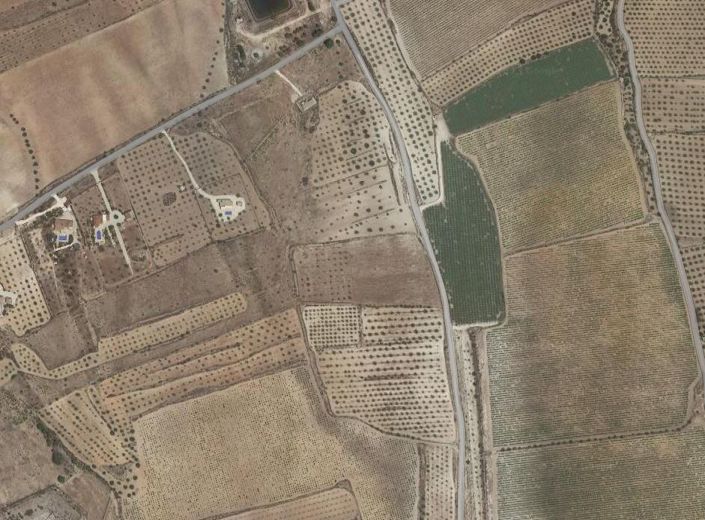 Image No.2-Terre à vendre à Pinoso