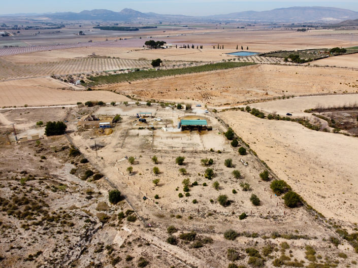 Image No.3-Terre à vendre à Villena