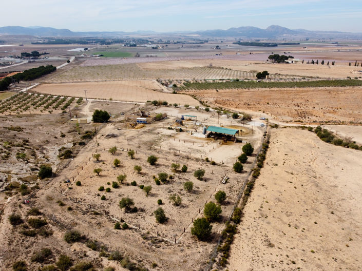 Image No.4-Terre à vendre à Villena
