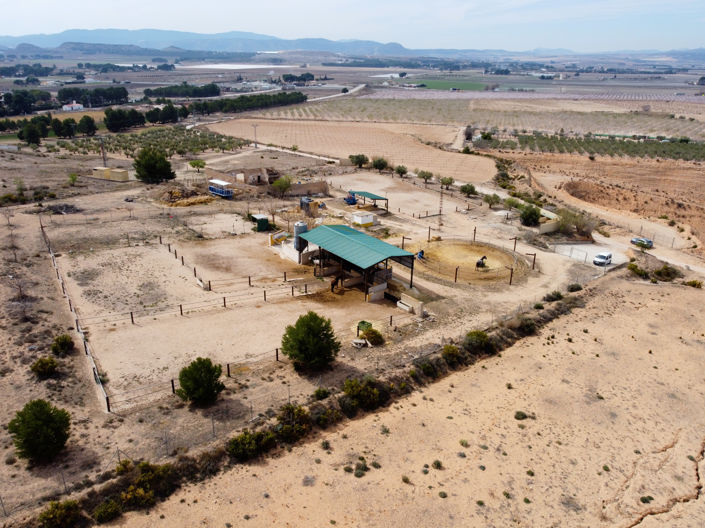 Image No.5-Terre à vendre à Villena