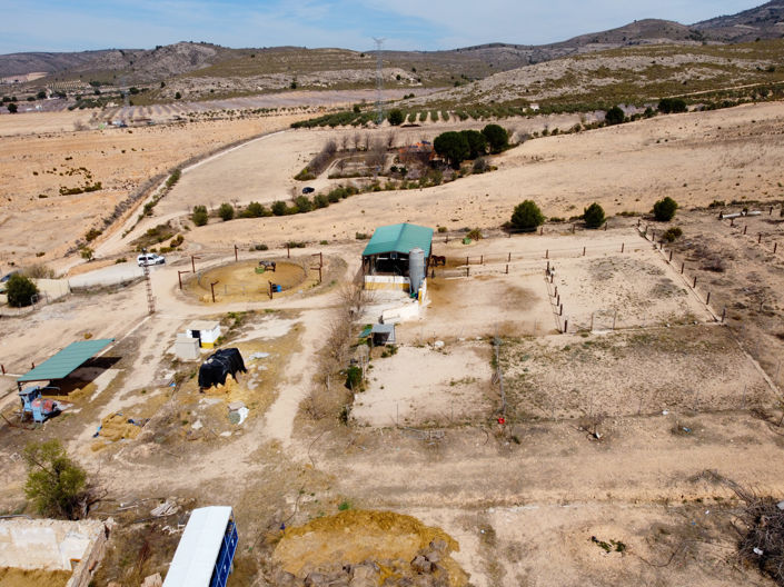 Image No.6-Terre à vendre à Villena