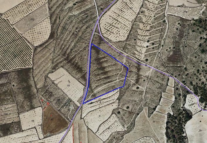 Image No.2-Terre à vendre à Pinoso