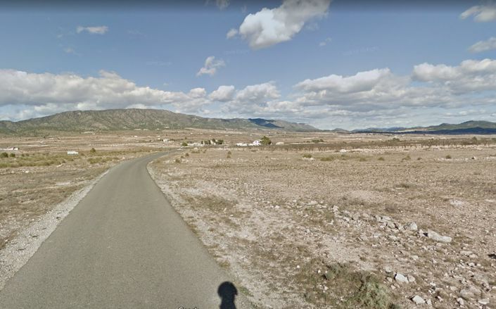 Image No.4-Terre à vendre à Pinoso