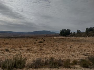 3291buildingplot2102231152532b95105e4fe141f08