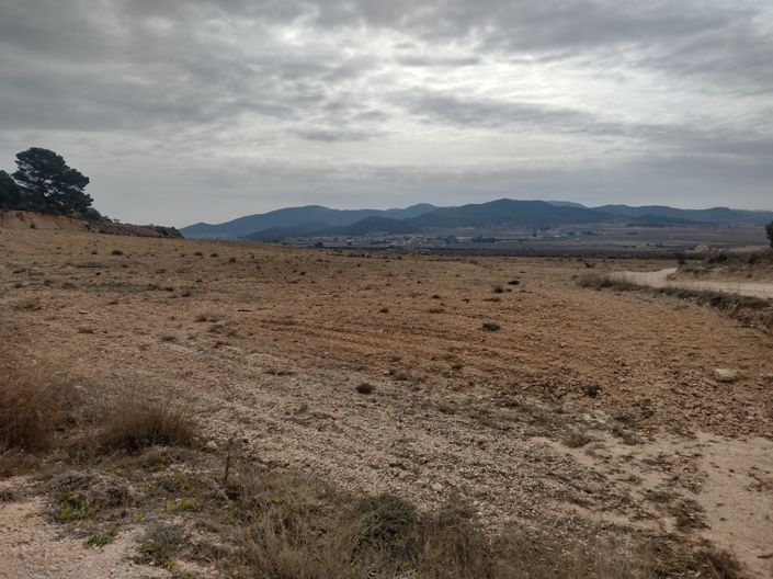 Image No.5-Land for sale