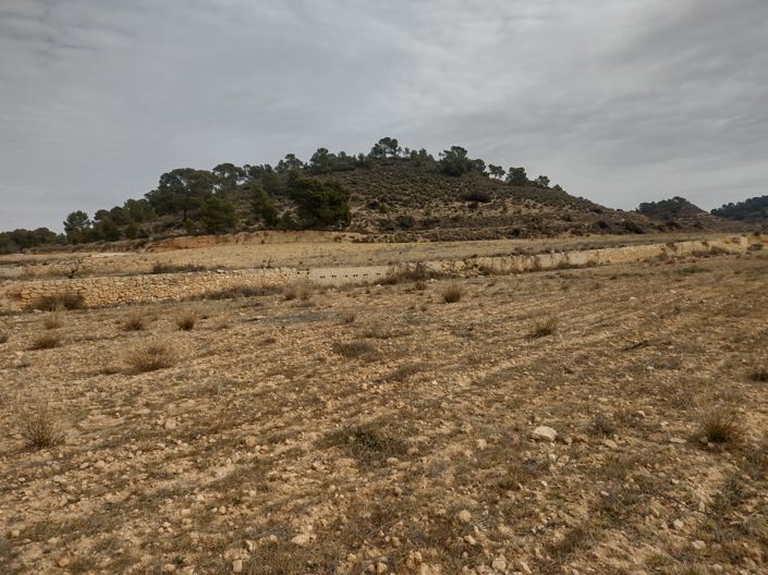 Image No.9-Land for sale