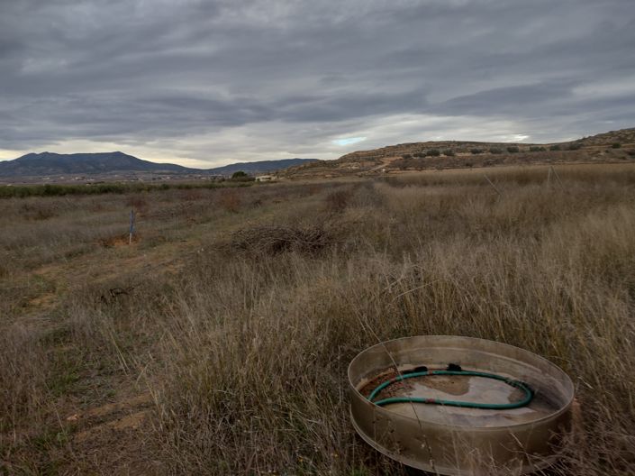 Image No.10-Terre à vendre à Pinoso