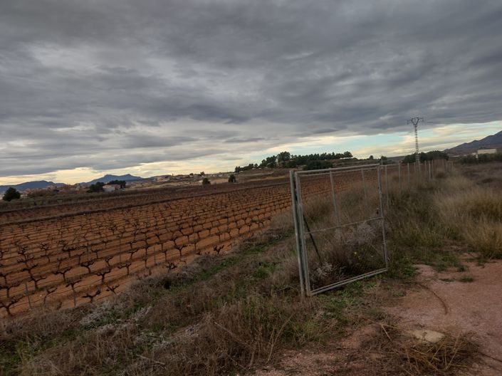 Image No.11-Terre à vendre à Pinoso