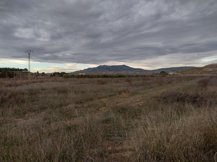 Image No.12-Terre à vendre à Pinoso