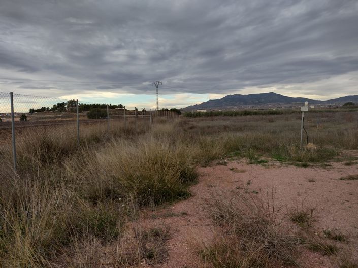 Image No.20-Terre à vendre à Pinoso
