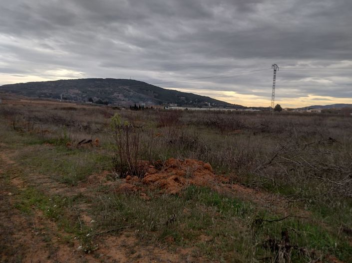 Image No.21-Terre à vendre à Pinoso