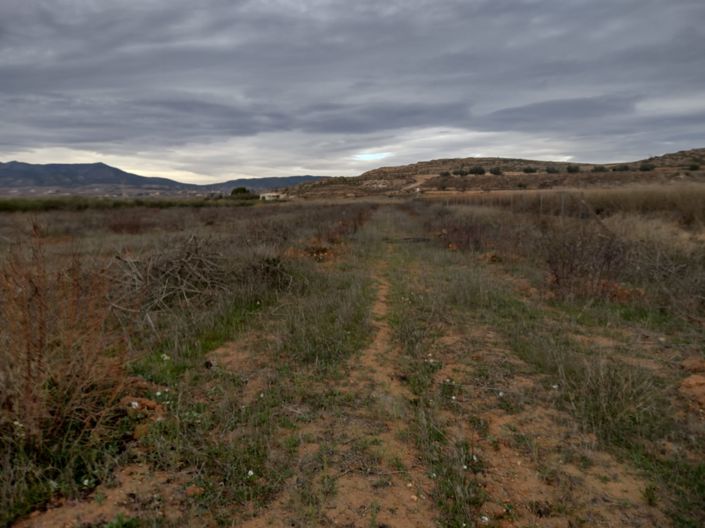 Image No.22-Terre à vendre à Pinoso