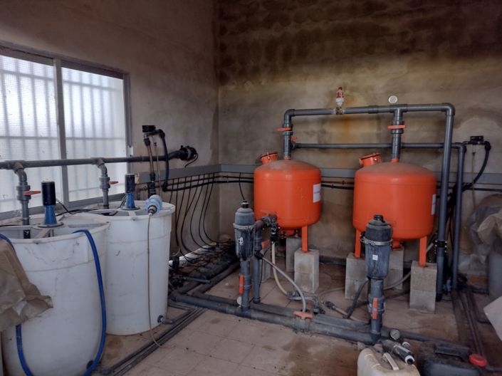 Image No.5-Terre à vendre à Pinoso