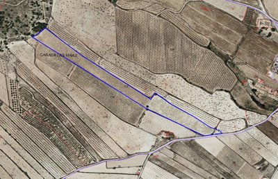 3685largebuildingplotnearpinoso230125155203sc