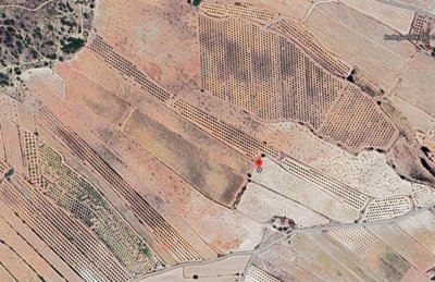 3685largebuildingplotnearpinoso230125155202sc