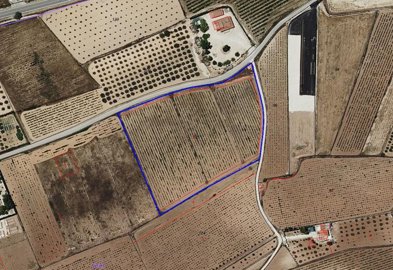 3666parcelacuadritosdeltio041224120252screens