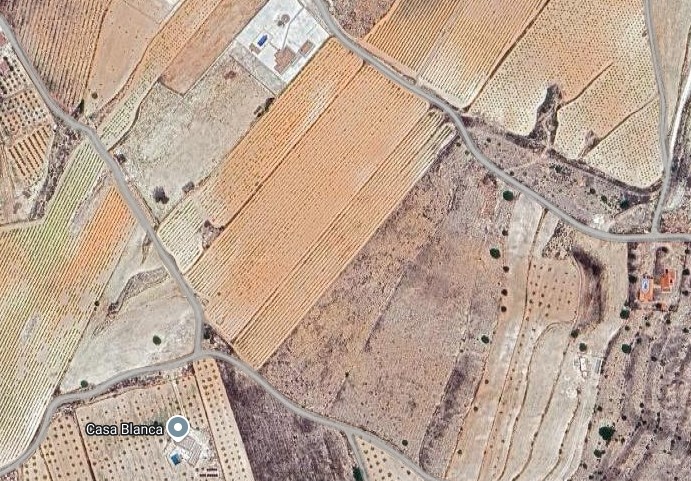 Image No.2-Terre à vendre à Pinoso