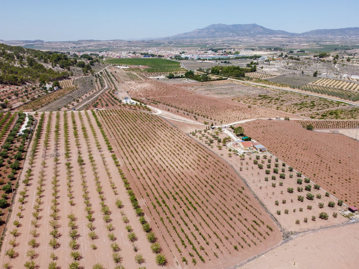 Image No.2-Land for sale