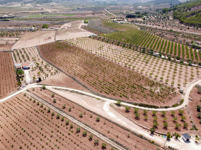 Image No.4-Land for sale