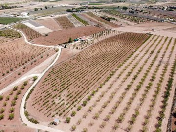 3580buildingplotnearpinoso110724130057cf3018d