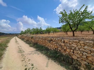 3364nicebuildingplotwithamazingviews250523130