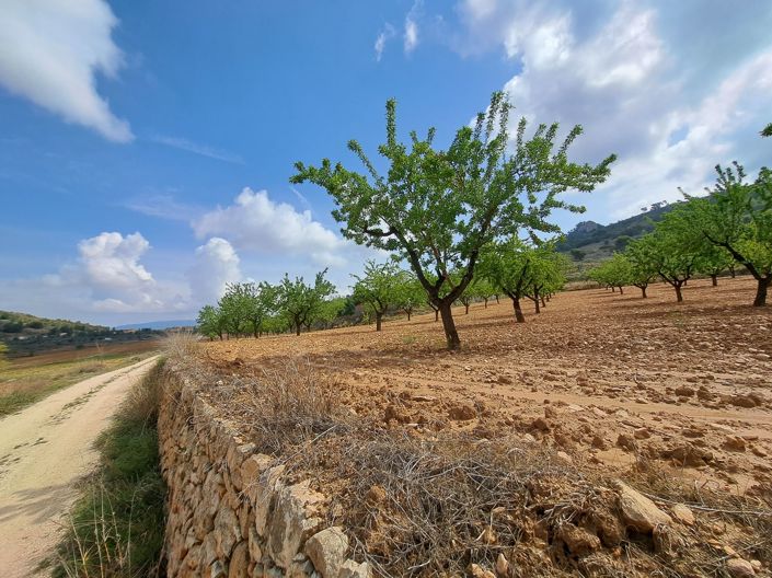 Image No.2-Land for sale