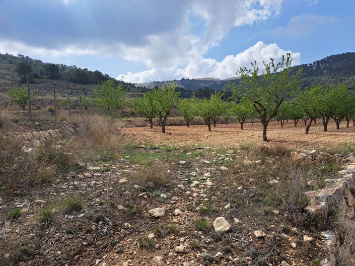 Image No.3-Land for sale