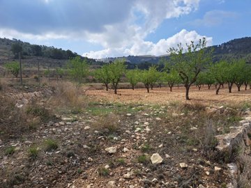 3364nicebuildingplotwithamazingviews250523130